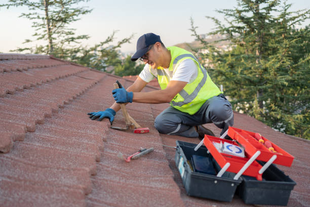 Best Storm Damage Roof Repair  in Carpentersvle, IL