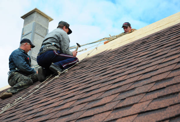Quick and Trustworthy Emergency Roof Repair Services in Carpentersville, IL