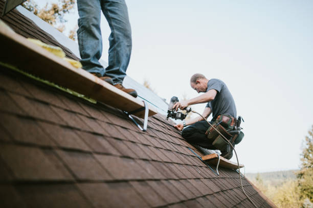 Best Flat Roof Repair Services  in Carpentersvle, IL